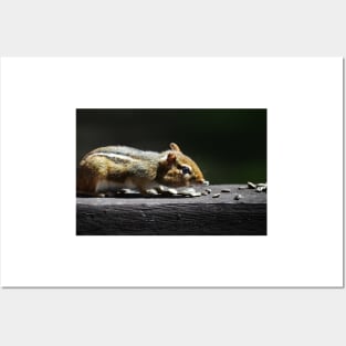 Chipmunk Posters and Art